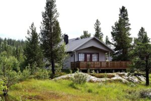 A cozy wooden cabin surrounded by tall green trees and lush grass, with a porch and a scenic view of nature.
