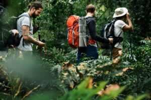 Four hikers with backpacks navigate through dense greenery in a lush forest. The scene captures their adventurous spirit in nature.