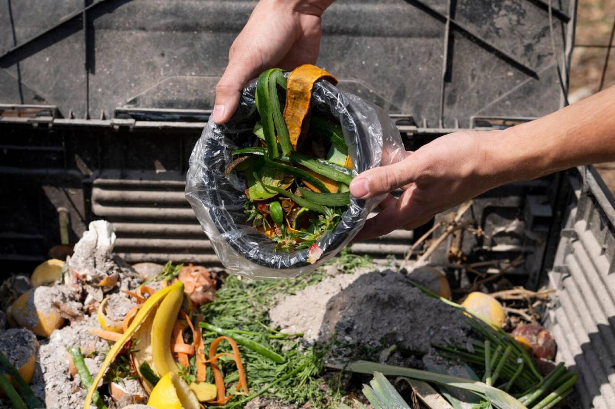  A person holds a bowl of vegetable scraps over a compost pile, promoting eco-friendly waste disposal practices.