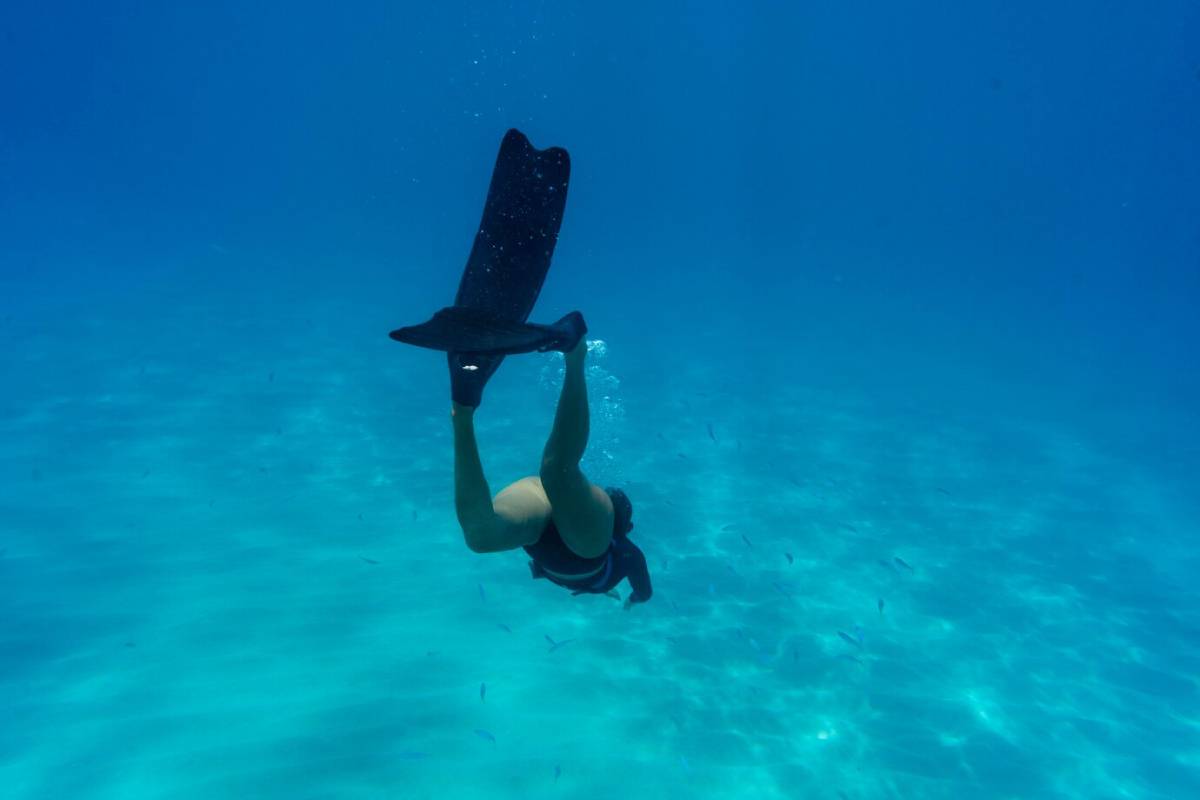  A diver in a black wetsuit swims underwater, holding a fin, surrounded by clear blue waters and small fish.