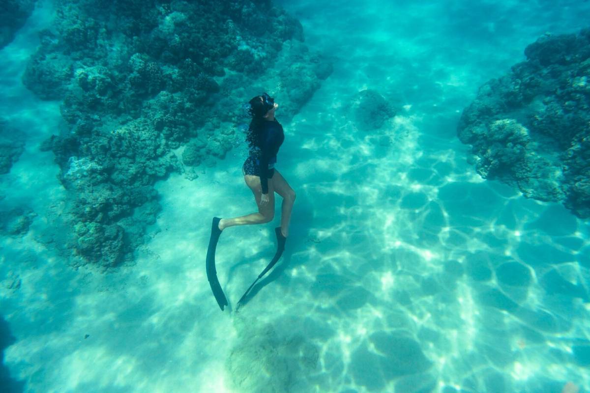 A swimmer with long fins glides gracefully underwater, surrounded by coral formations and shimmering turquoise water. 