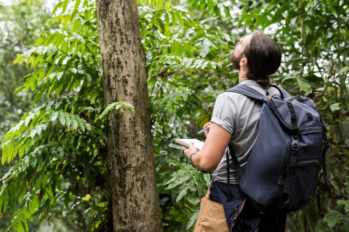  A person with a backpack writes notes while observing a lush green forest filled with vibrant leaves and trees.
