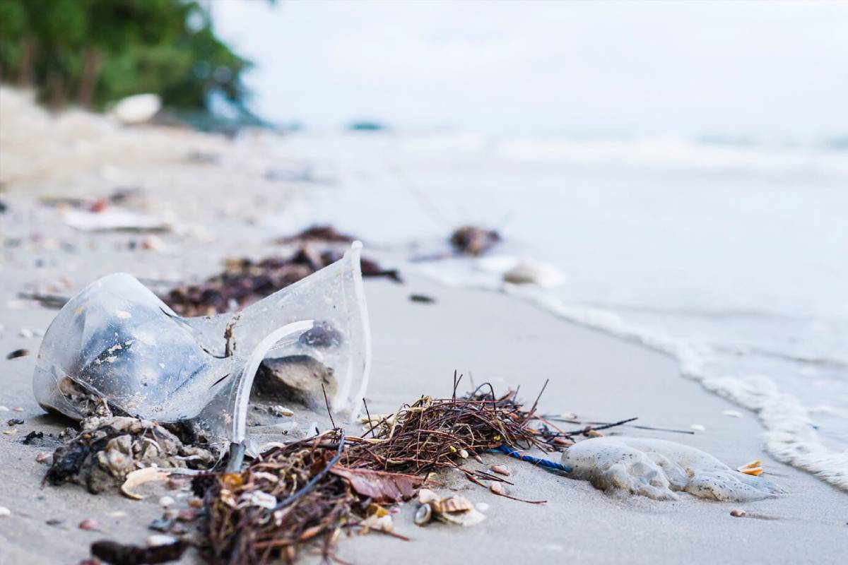 Plastic waste and debris scattered on a sandy beach, with seaweed and a jellyfish near the water's edge.