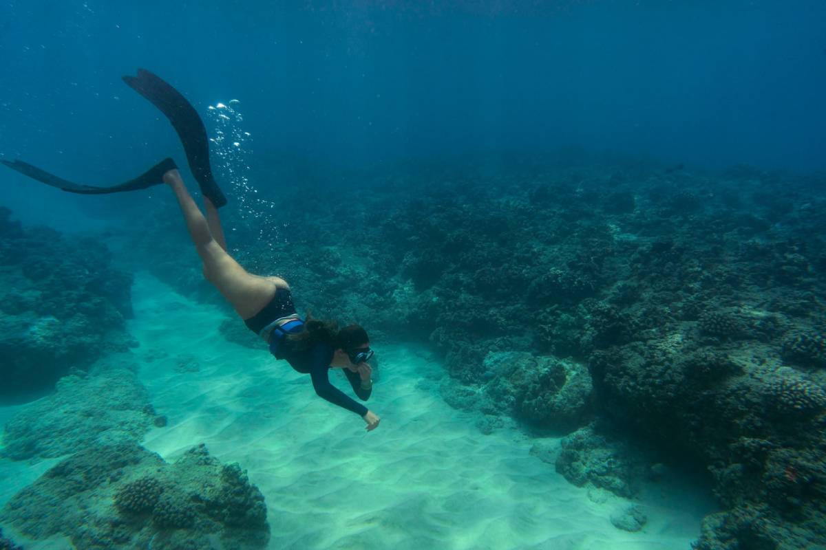A diver wearing fins and a mask swims underwater above sandy ocean floor with coral formations in the background.