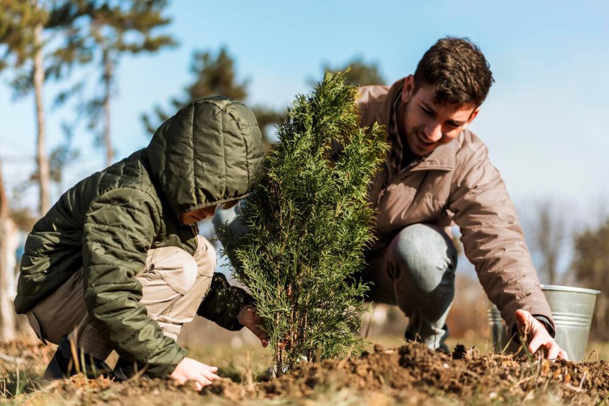 A young child and an adult are planting a small tree together in a sunny outdoor setting, surrounded by greenery and soil. 