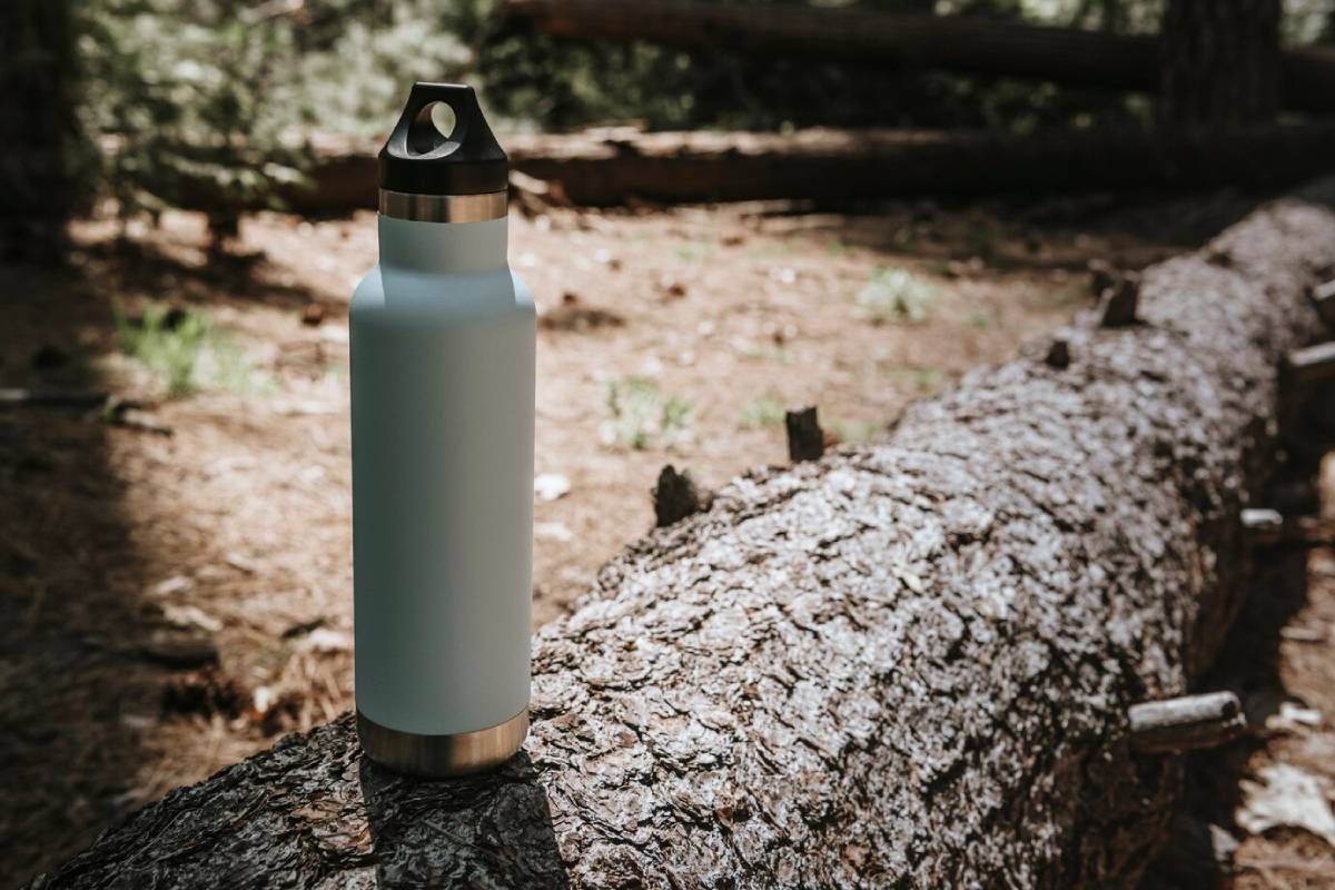  A stainless steel water bottle rests on a fallen tree trunk in a sunlit forest, surrounded by pine needles and greenery.